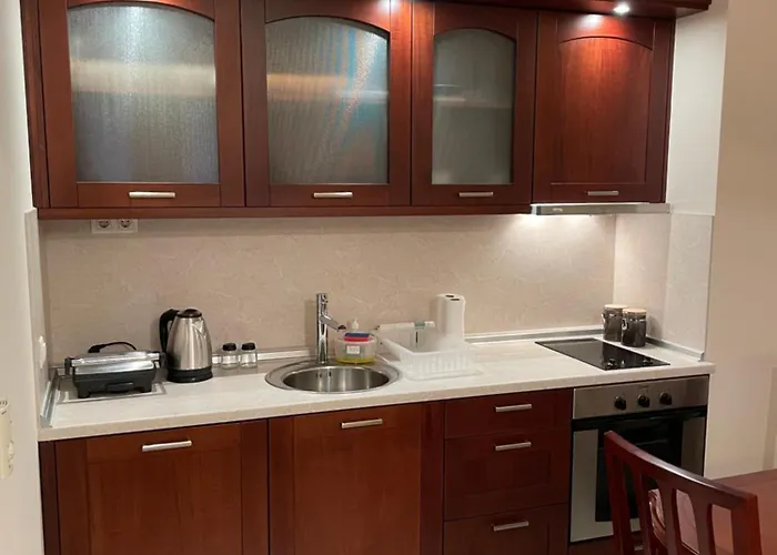 Apartment Downtown R Lux