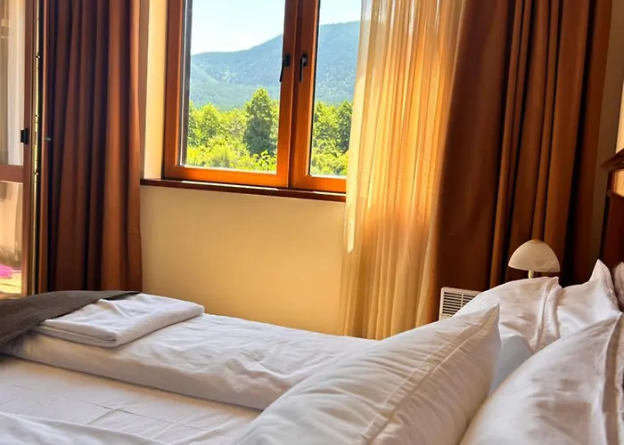 Apartment Downtown R Lux